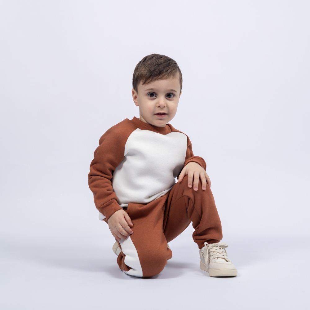 314-Ш. Свитшот + Штаны, шоколад, хлопок 65%, 35% ПЭ, 3-х нитка (начес) 80,86,92