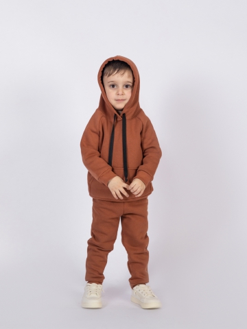 296-ТР. Свитшот с капюшоном  + Штаны, хлопок 65%, 35% ПЭ, 3-х нитка (начес) терракот  98,104,110,116